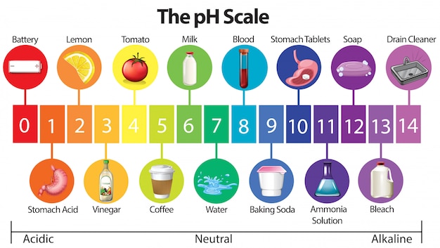 Free vector an education poster of ph scale