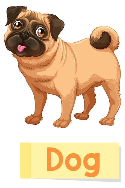 Educational English word card of dog