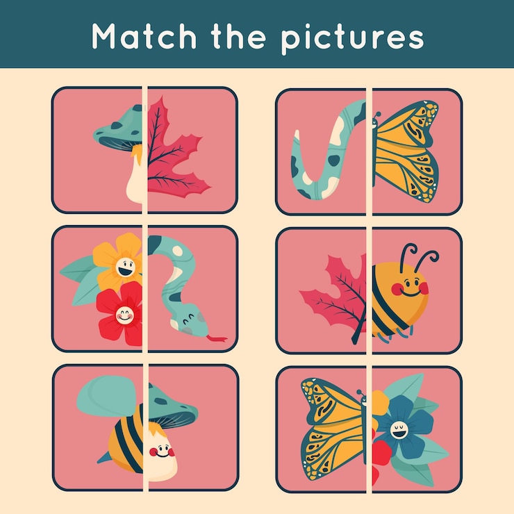 Free Vector educational match game for children
