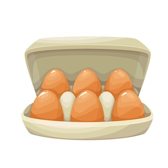 6​つ​の​茶色​の​鶏​の​卵​の​カートン​パック​または​コンテナベクトルイラスト​と​卵​ボックス