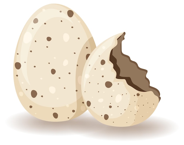 Egg shell cracking on white background