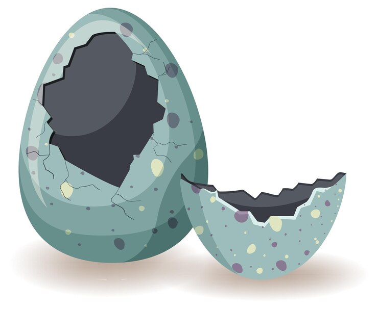 Free Vector egg shell cracking on white background