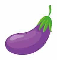 Free vector eggplant vegetable organic icon isolated design