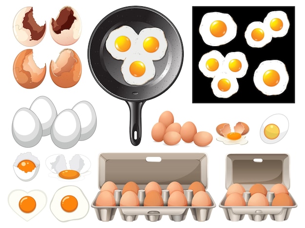 Free vector eggs in various stages and forms