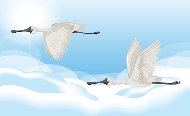 青空を飛ぶ白鷺