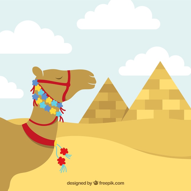 Cammello egiziano con decorazione floreale