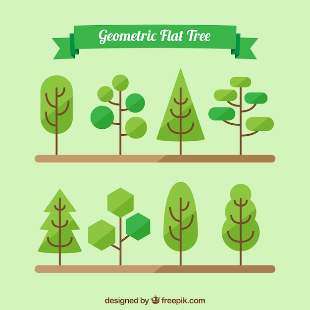 Free vector eight flat trees