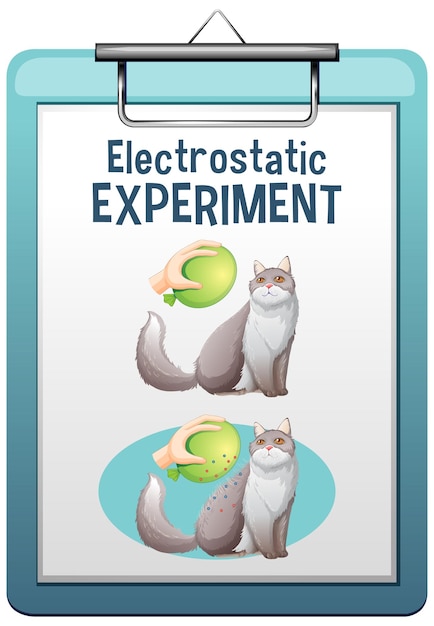 Electrostatic Science Experiment Poster