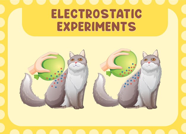 Electrostatic Science Experiment Poster