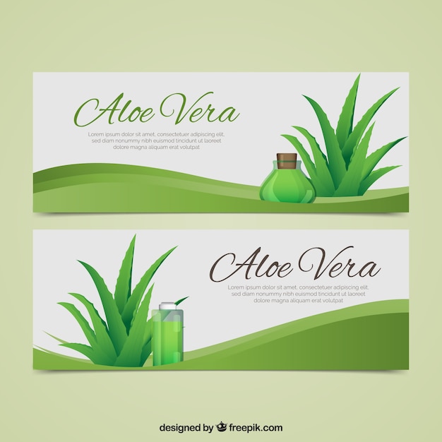 Elegant aloe vera banner