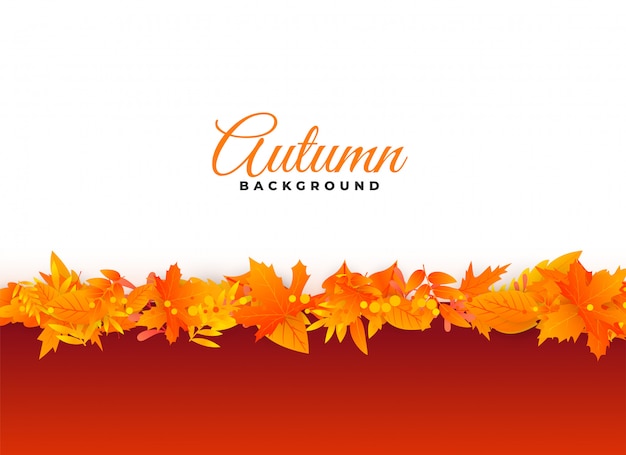 Free vector elegant autumn background leaves design