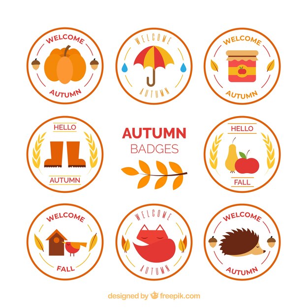 Elegant autumn badges collection with flat design