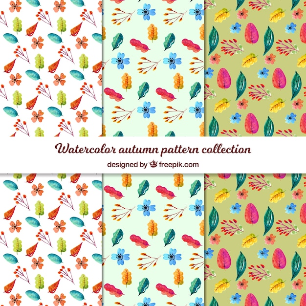 Elegant autumn pattern collection