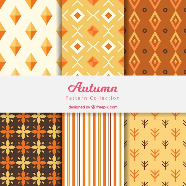 Elegant autumn pattern