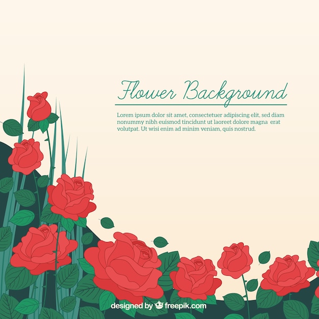 Elegant background with flat roses