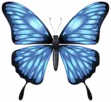 Free vector elegant blue butterfly illustration