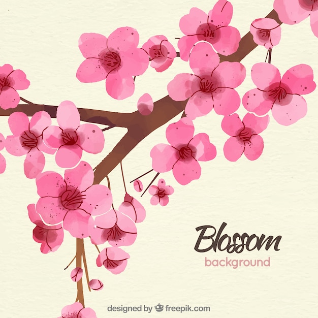 Elegant cherry blossom background