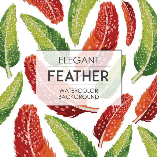  elegant feather watercolor background  