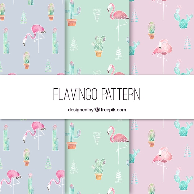 Элегантный шаблон фламинго