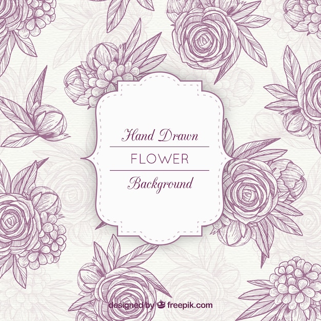 Elegant floral background with hand drawn style