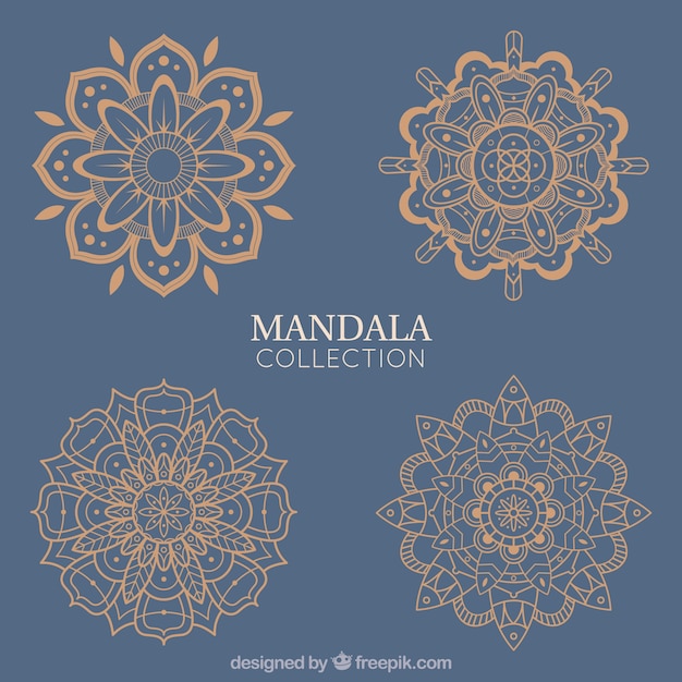 Vettore gratuito mandalas d'oro eleganti