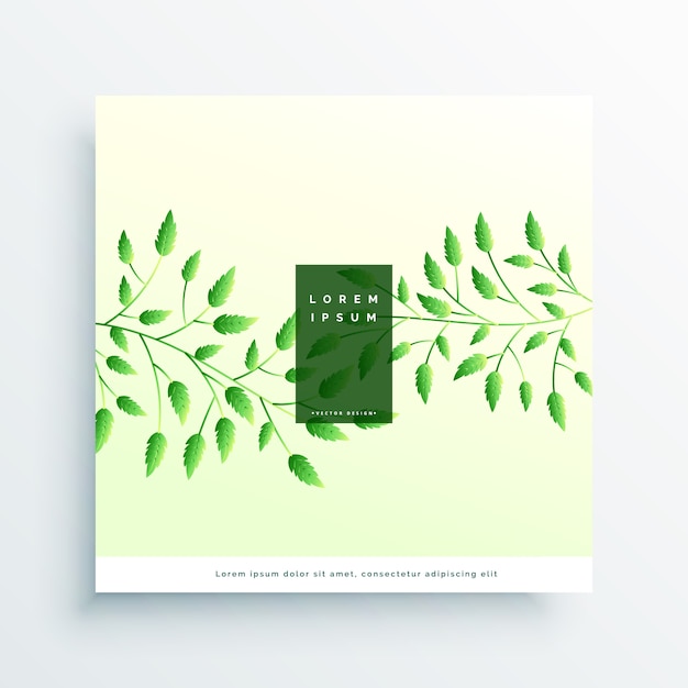 Free vector elegant green leaves elegant background