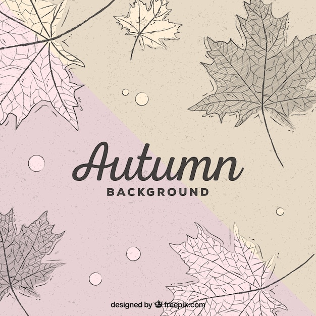 Elegant and hand drawn autumn leaves