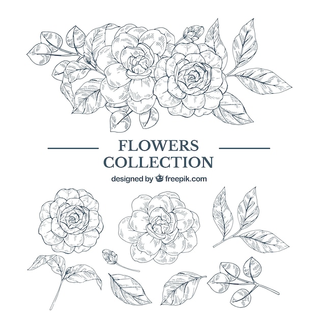 Free vector elegant hand drawn floral element collection