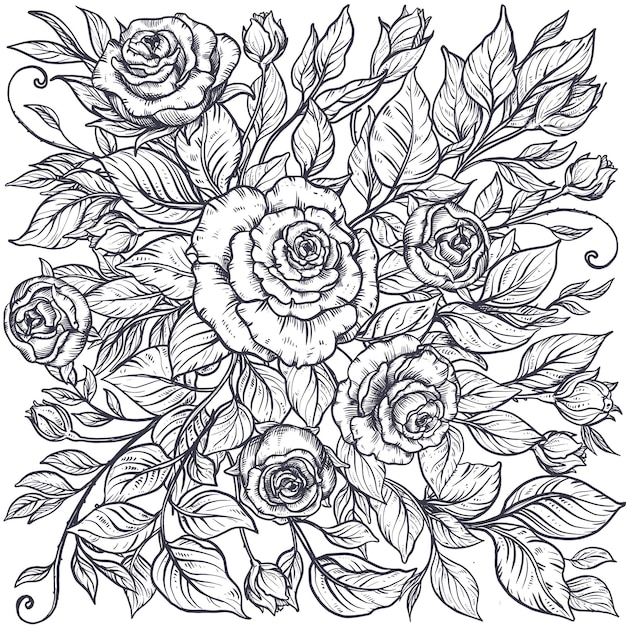 バラの花と葉でエレガントな手描きのグラフィックの正方形の構成。美しいベクトルイラスト。 Premiumベクター