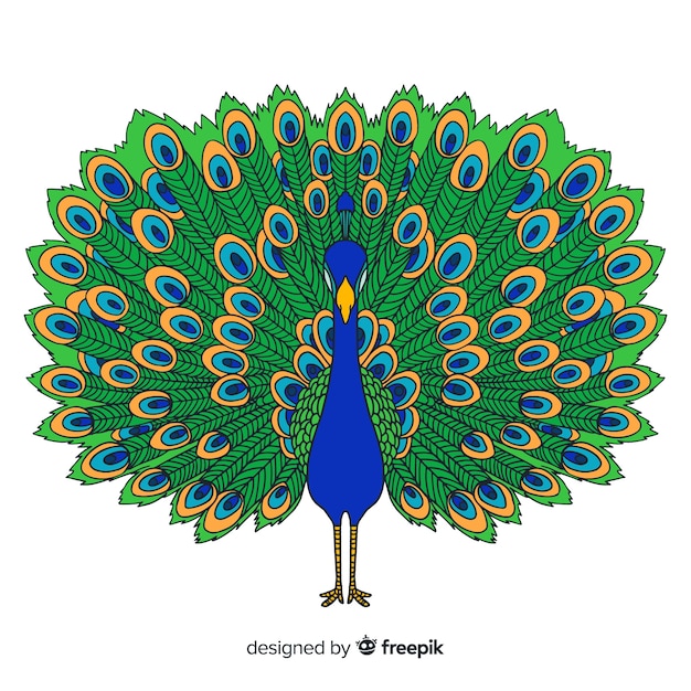 Free vector elegant hand drawn peacock