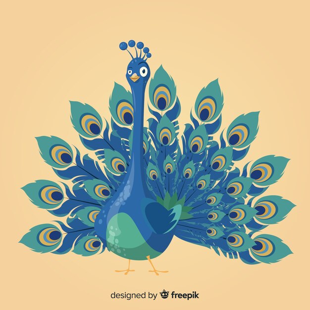 Elegant hand drawn peacock