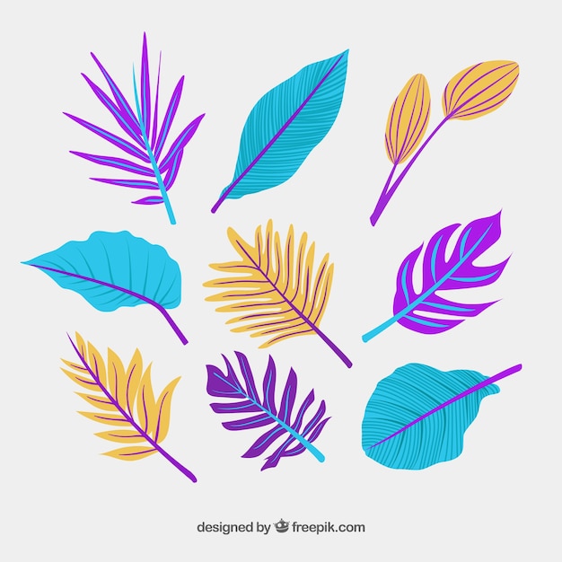 Elegant hand drawn tropical leaf collection