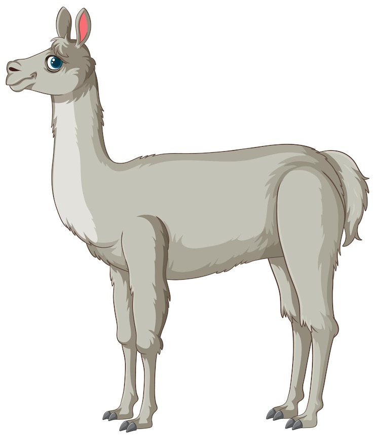 Free Vector elegant llama standing side view