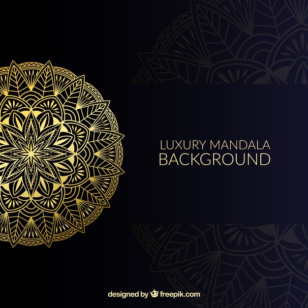 Elegant mandala background with luxurious style