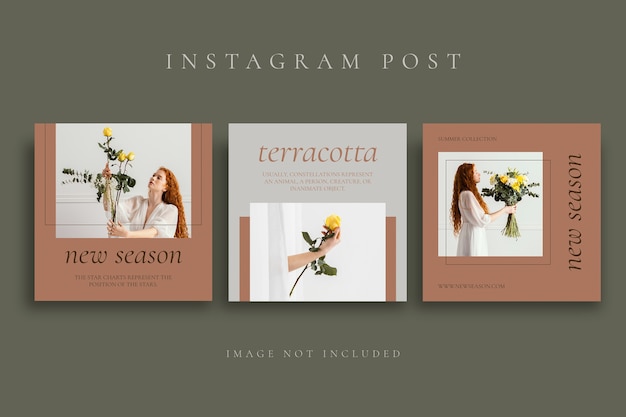 Free vector elegant minimalist terracotta instagram post template