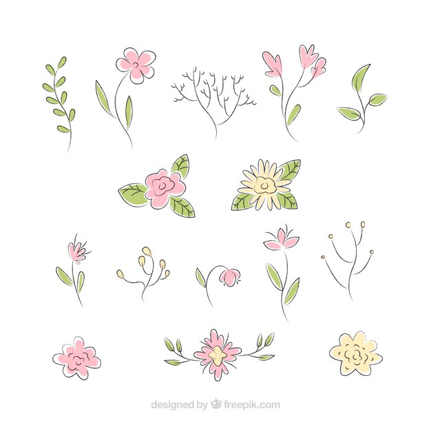 Elegant pack of hand drawn floral elements