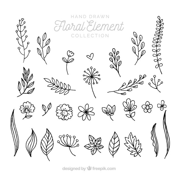 Elegant pack of hand drawn floral elements