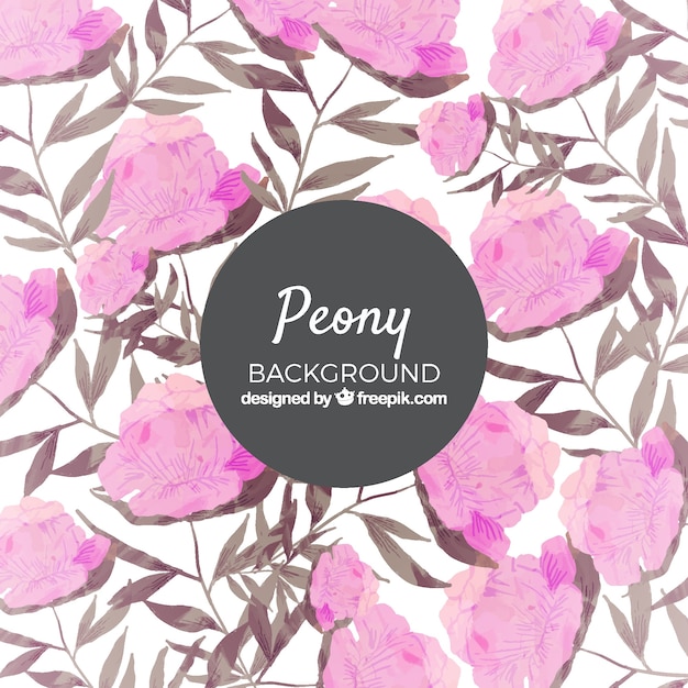 Elegant peony flowers background concept