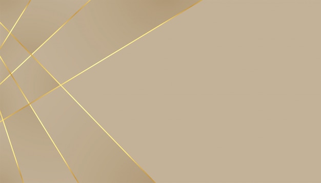 Elegant premium background with golden lines effect