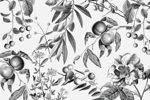 Elegant rose floral pattern vector black and white fruits vintage illustration Premium Vector