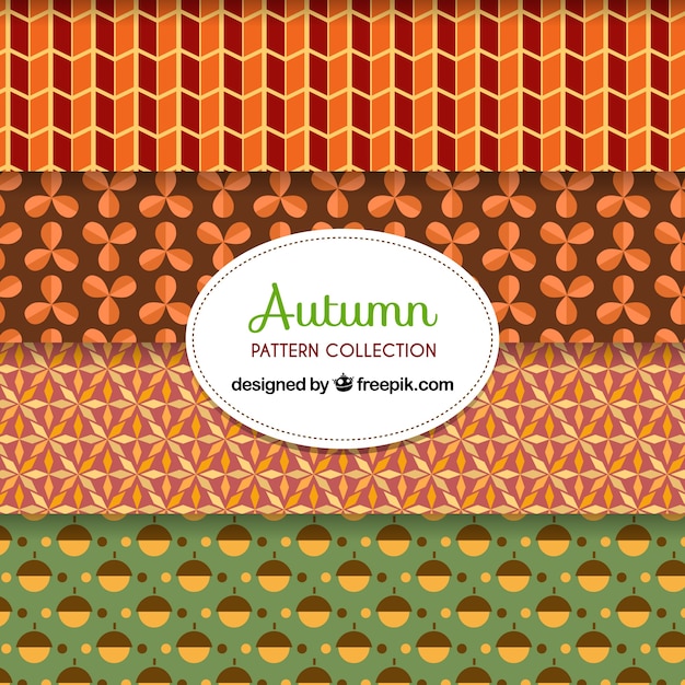 Free vector elegant set of autumn patterns