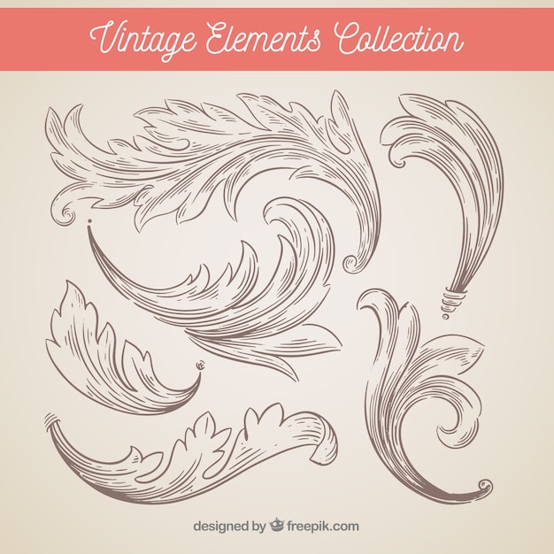 Free vector elegant set of vintage ornaments