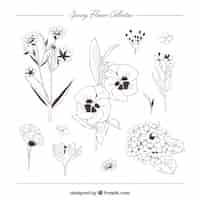 Free vector elegant spring flower collection