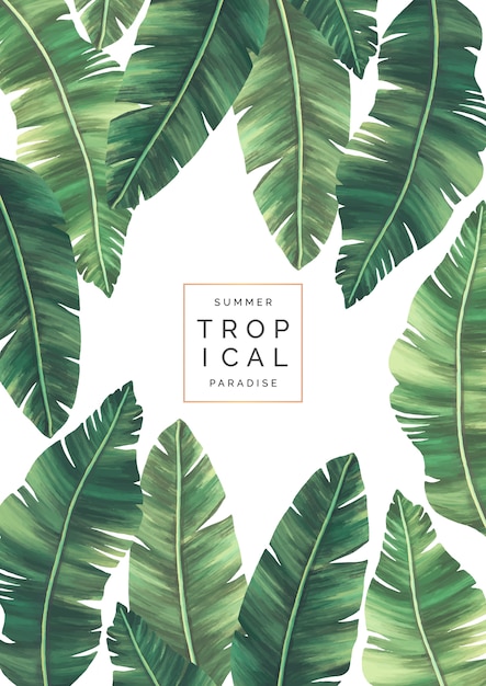 Elegant Tropical Background with Beautiful Leaves