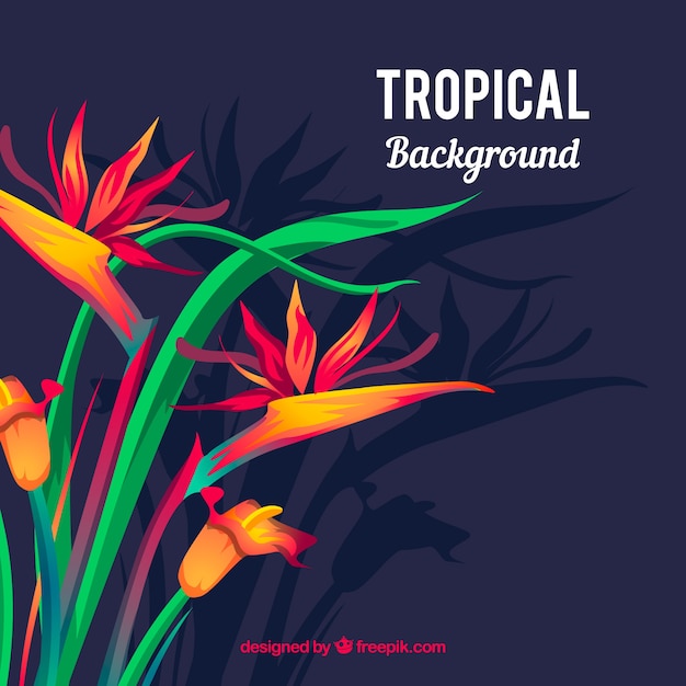 Elegant tropical flower background