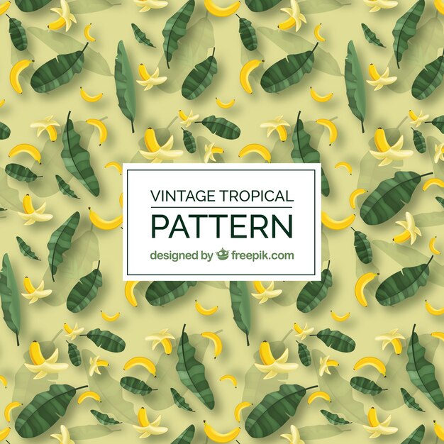 Free Vector elegant tropical pattern with vintage style