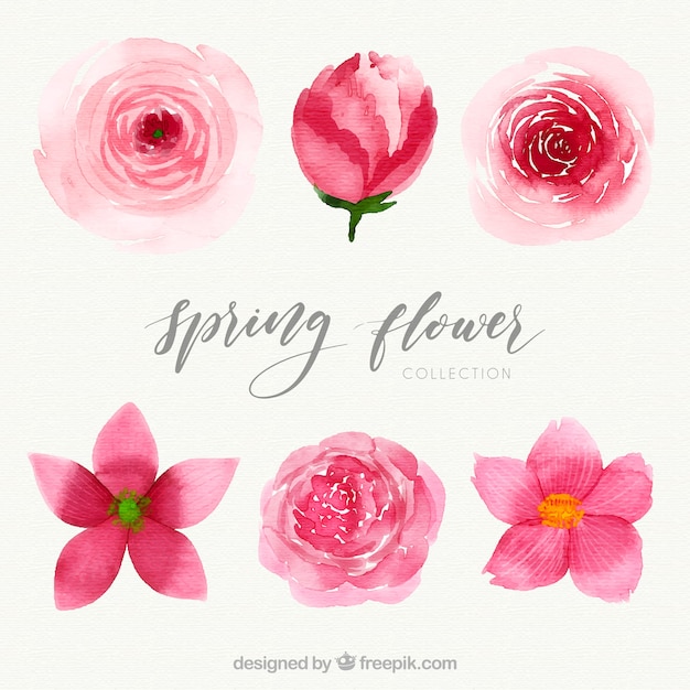 Free vector elegant watercolor spring flower pack