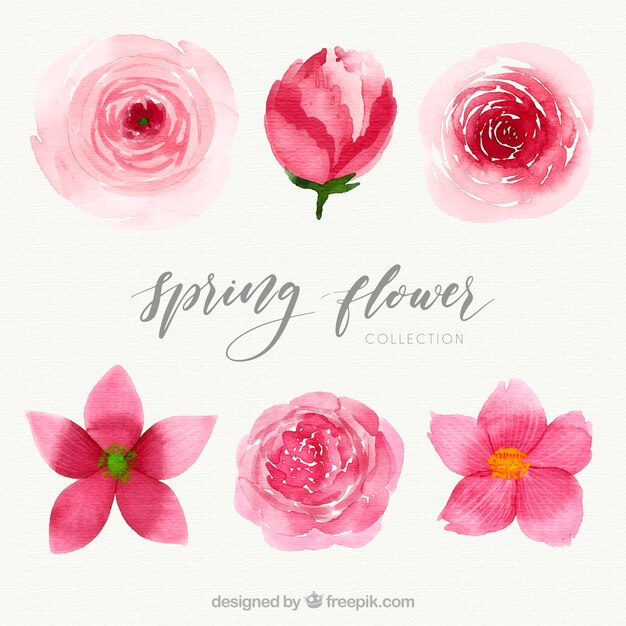 Elegant watercolor spring flower pack