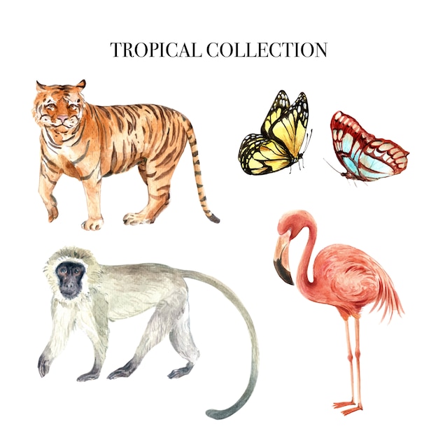 Бесплатное векторное изображение Элемент акварель дизайн с иллюстрации диких животных для декоративного использования.