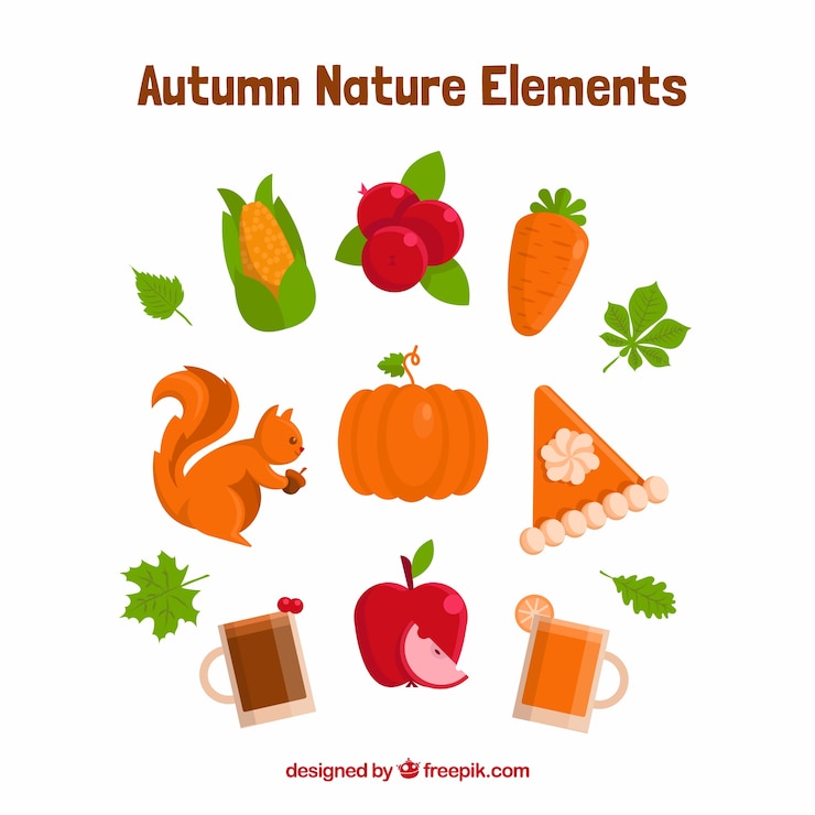 Free Vector  elements variety of nature in autumn